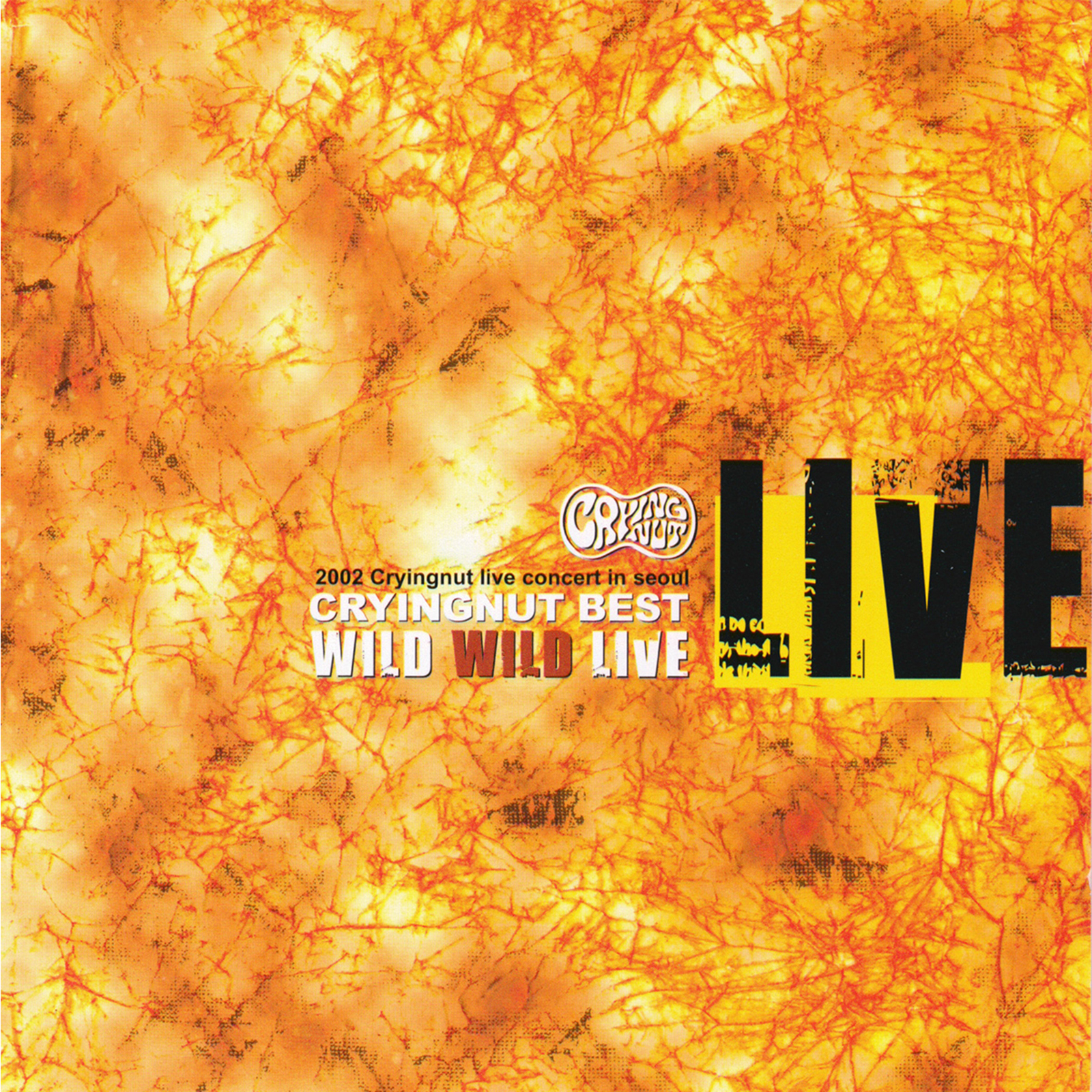 Image Cover